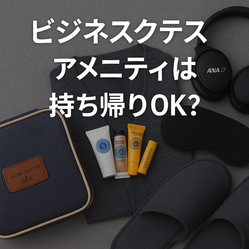ビジネスクラスのアメニティは持ち帰りOK？人気アイテムを紹介！
